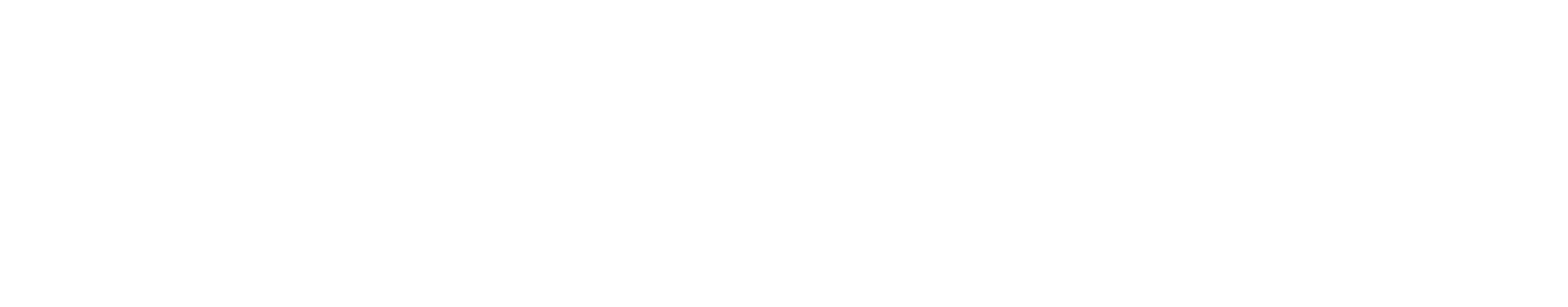 BizForce